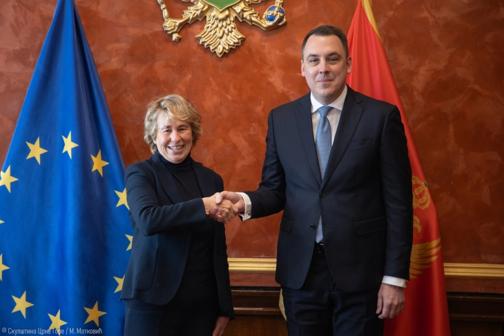 Vuković: Uspjeh Crne Gore poslao bi snažnu poruku zemljama regiona