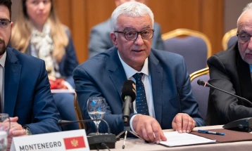 Mandić: Crna Gora duboko privržena evropskoj perspektivi