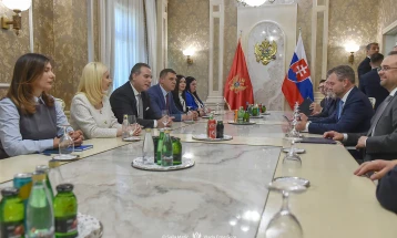 Ivanović: Ulazak Crne Gore u EU doprinio bi kredibilitetu politike proširenja