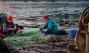 Podrška aktivnostima zajedničkog djelovanja i udruživanja u sektoru ribarstva