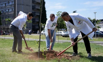 Milatović zasadio sadnice lipe u dvorištu KCCG