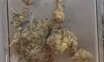 Na Sukobinu oduzeta marihuana, uhapšen njemački državljanin