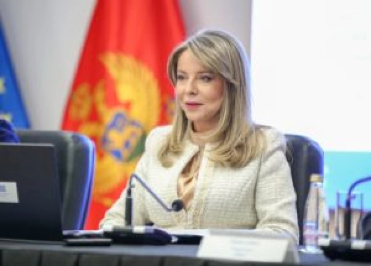 Radović na Bledskom strateškom forumu