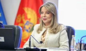 Radović na Bledskom strateškom forumu