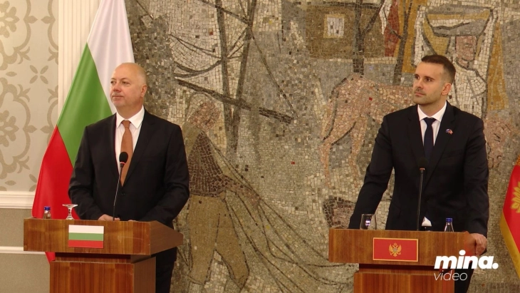 Spajić: Fokus da bude na pristupanju EU 