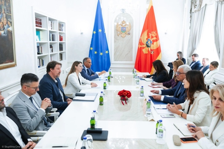 Mandić: Želimo da sudije Ustavnog suda izaberemo do kraja oktobra