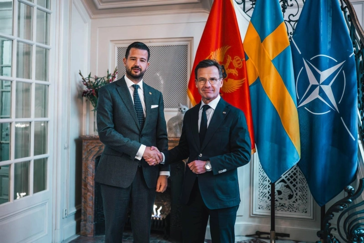 Kristerson: Crna Gora ima podršku Švedske u nastavku EU integracija