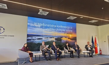 Ćulafić: Skoro postignut dogovor u vezi sa novim upravljačem Solane