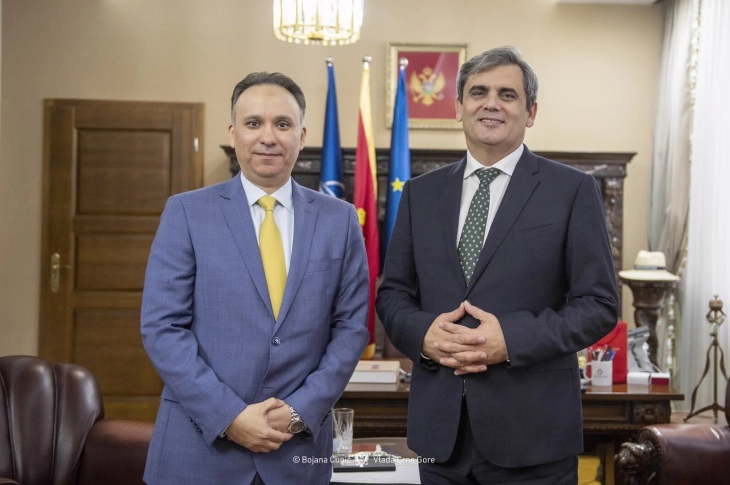 Otvaranje ambasade Crne Gore u Rijadu unaprijedilo bi međudržavnu saradnju