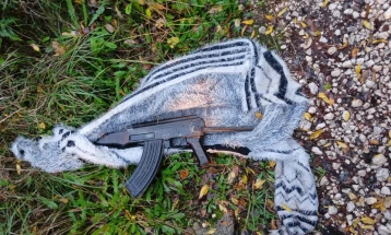 Uhapšen osumnjičeni za upotrebu vatrenog oružja u Kotoru