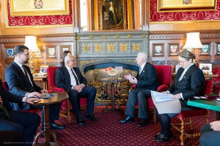 Mandić: Borba protiv organizovanog kriminala i korupcije zajednički interes Crne Gore i UK
