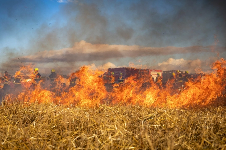 U požarima u Čileu stradalo najmanje 18 osoba