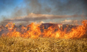 U požarima u Čileu stradalo najmanje 18 osoba