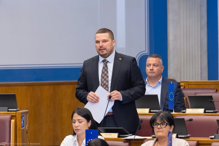Mikić: Partneri iz EU potvrdili da je Vlada obmanjivala javnost