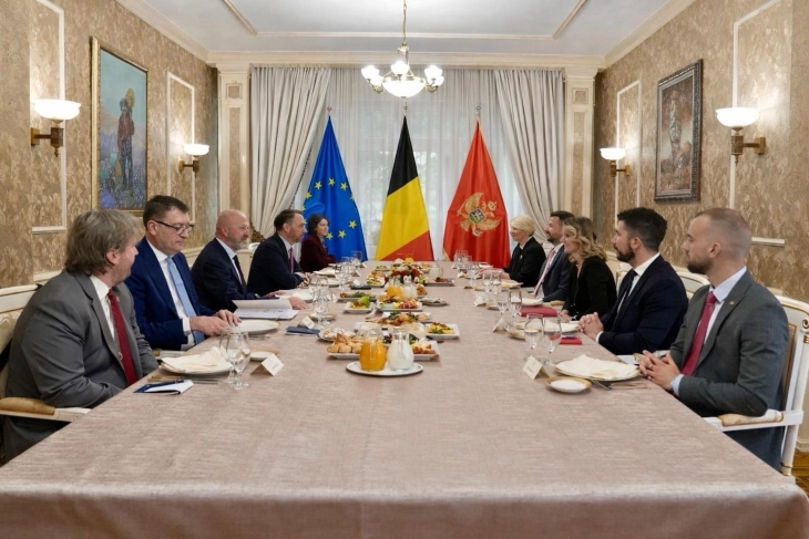 Domaćinstvo Samita EU - Zapadni Balkan prilika da Crna Gora da učvrsti evropsku poziciju