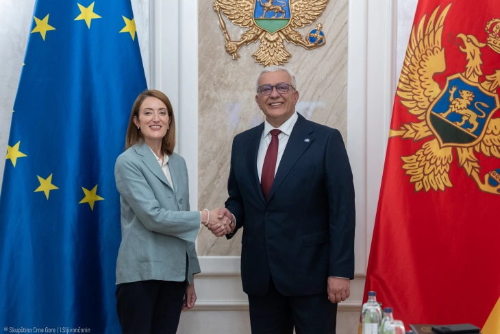Crna Gora predstavlja najuspješniji primjer politike proširenja EU