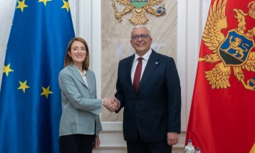 Crna Gora predstavlja najuspješniji primjer politike proširenja EU