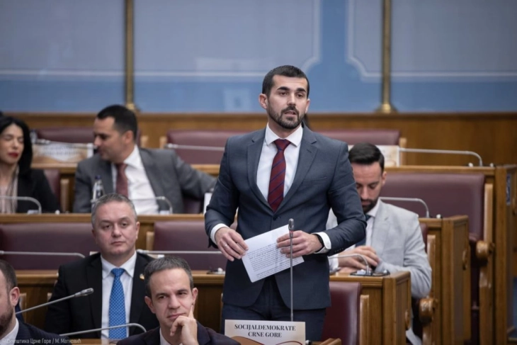 Nenezić: Izmjene i dopune zakona o slobodnim zonama neophodne za spas barskih luka i privrede