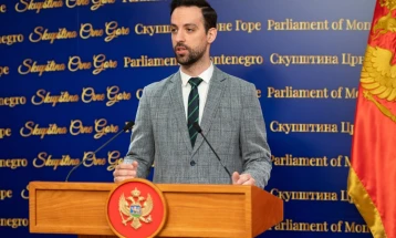 Zirojević: Sve što se desi u požarnoj sezoni odgovornost je Vlade, Bečića i Šaranovića