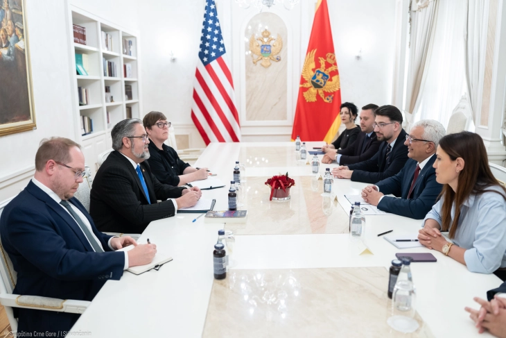 Mandić: Želimo strateško partnerstvo sa SAD