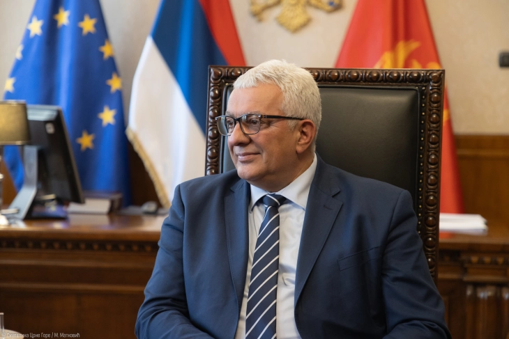 Mandić: Odluka prištinskih vlasti neće narušiti odnose srpskih i albanskih političara u Crnoj Gori