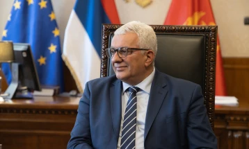 Mandić: Odluka prištinskih vlasti neće narušiti odnose srpskih i albanskih političara u Crnoj Gori