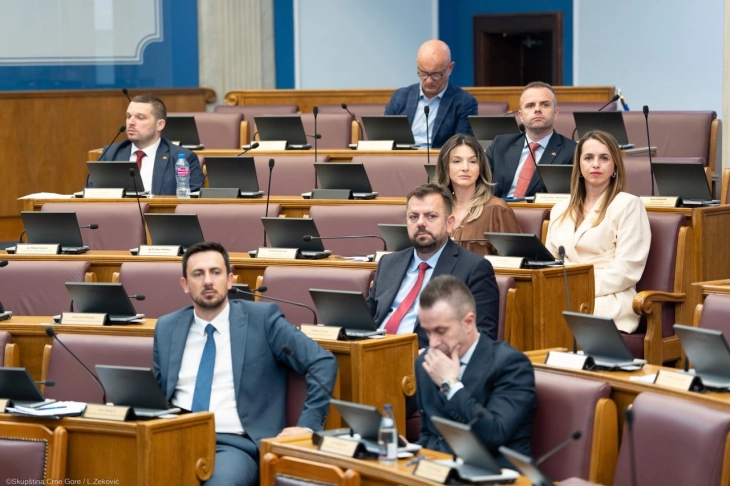 Smailović: Predložili smo uvođenje naknade za materinstvo za partnerke preduzetnika