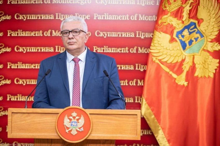 Mandić: U ponedjeljak prvo glasanje o izmjenama Ustava