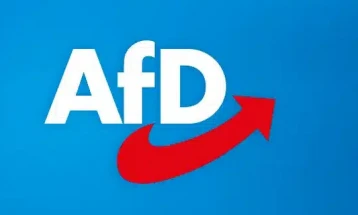 U Njemačkoj protesti protiv desničarske AFD