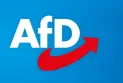 U Njemačkoj protesti protiv desničarske AFD