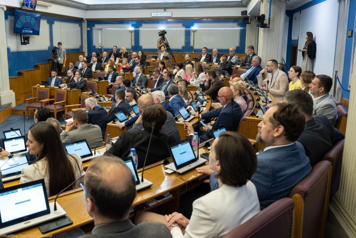 Pokrenuta procedura za izmjene Ustava, poslanici DNP-a glasali protiv