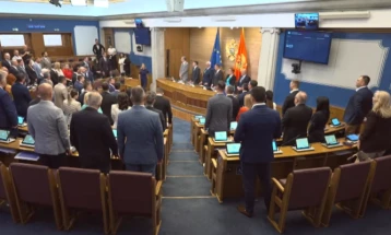 Ružičić i Krstonijević izabrani za sudije Ustavnog suda