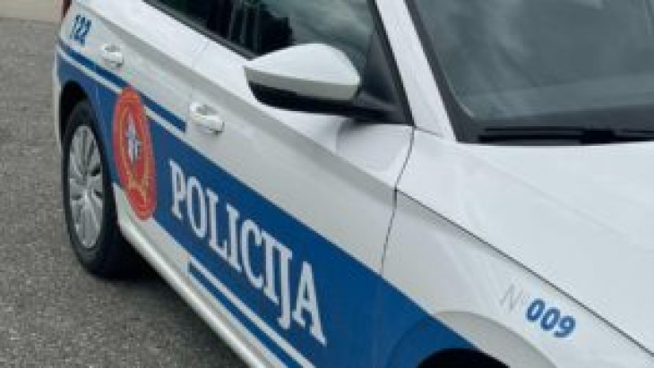Krivične prijave zbog bespravne sječe šume i nelegalne gradnje